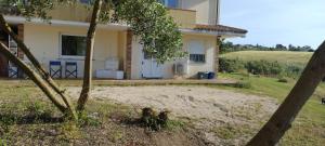 a house with a yard in front of it at Villa rux platamona in Sassari