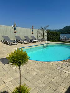 a swimming pool with chairs and a palm tree at Casa Nube in Orşova