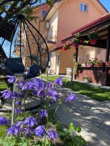 Zahrada ubytování Casa Sunshine