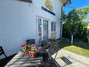 Zahrada ubytování Casa Sunshine