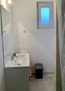 a bathroom with a sink and a mirror and a window at Appartement centre ville Chateau-Renault in Château-Renault +6 photos