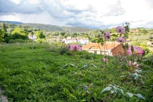a field with pink flowers in the grass at Perla Vera - Country Modern Apartment in Villanueva de la Vera