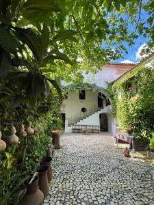 an outdoor courtyard with plants and a stone walkway at Casa Pimenta in Vidigueira