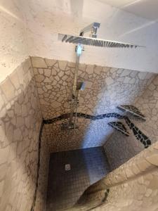 a shower in a bathroom with a tile ceiling at Ferienwohnung Mühlenhof in Duderstadt +22 photos