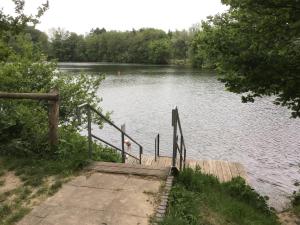 a wooden staircase leading to a lake with trees at Naturblick in Hennstedt