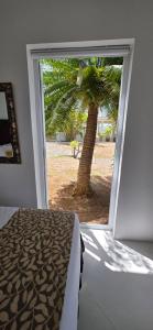 Κήπος έξω από το Cap Pavilion, St Lucia 6 bed luxury villa, private pool, gardens and 360' sea views