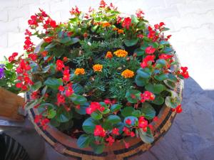 Galeriebild der Unterkunft Pensiunea Speranta in Pleşcoi