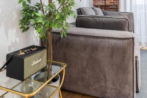 roślina siedząca na stole obok kanapy w obiekcie 2 bedrooms 1 bathroom furnished - Centro - equipped & stylish - Minty Stay w Madrycie