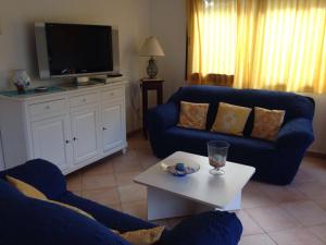 Una sala de estar con un sofá azul y un televisor. en Villetta Rena Majore, en Rena Majore