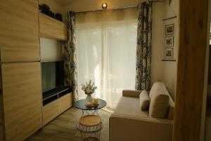 un soggiorno con un divano e una televisione di Charmant studio avec terrasse et jardin au cœur de la Provence 4 étoiles a Camps-la-Source