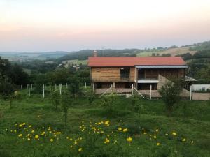 a house on a hill with a field of flowers at Kisfaludy Kásté in Dobronhegy