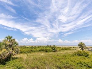 a field with palm trees and a cloudy sky at Lighthouse Point 20A in Tybee Island