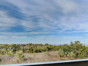 a view of a desert with bushes and trees at Lighthouse Point 20A in Tybee Island