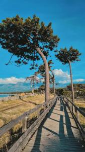 a wooden boardwalk with two trees on a beach at Studio proche de la mer in Calvi