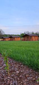ein grünes Feld mit einem Haus im Hintergrund in der Unterkunft ENOdomki in Kwilcz