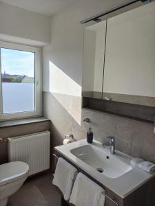 un bagno con lavandino, water e finestra di Gästehaus am Radweg a Herbstein