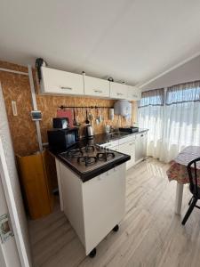 a kitchen with a stove top island in a room at ILSA camping in Bauska