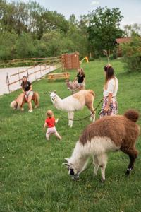 Gallery image of Cozy wood hut on the farm in Třebívlice