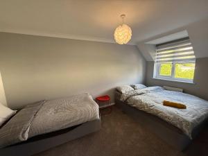 Gallery image of 2 Bedroom Modern Apartment with Free Parking in Chelmsford