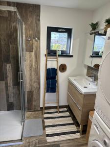 un piccolo bagno con doccia e lavandino di Chalet de charme en pleine ville a Sens