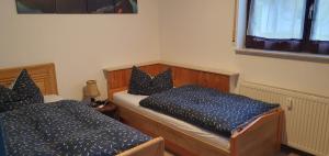 a bedroom with two twin beds and a window at Ferienwohnung Hüttenholzstraße in Ilmenau