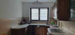 a kitchen with a sink and a window at Ferienwohnung Hüttenholzstraße in Ilmenau