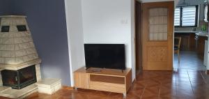 a living room with a television and a fireplace at Ferienwohnung Hüttenholzstraße in Ilmenau