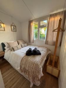 Postel nebo postele na pokoji v ubytování Welsh Bayview Retreat