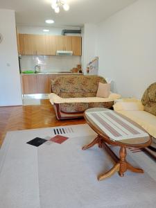 Χώρος καθιστικού στο Apartman centar Bar
