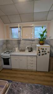 Kuhinja ili čajna kuhinja u objektu Apartman Dunja i Miloš