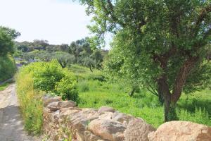 Una pared de roca junto a un árbol y un campo. en Casa del Angel by SIERRA VIVA, en Los Marines 37 fotos más