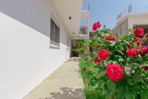 Imagen de la galería de Medo, en Ulcinj