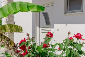 Jardín al aire libre en Medo