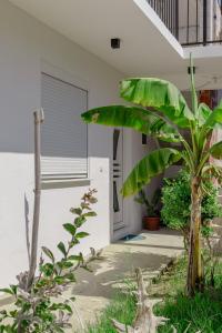 Jardín al aire libre en Medo