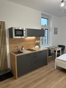 una cucina con lavello e microonde di Vila Fráňa apartmán 2 a České Budějovice
