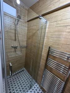 una doccia con una porta in vetro in un bagno di Vila Fráňa apartmán 2 a České Budějovice