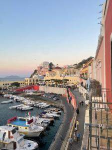 a group of boats are docked in a harbor at Agenzia Isotur LOCANDA NONNA GIULIA 33 VISTA MARE- SOPPALCATA in Ponza