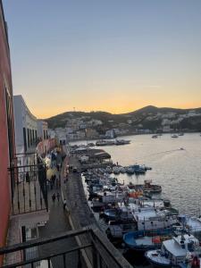 a group of boats are docked in a harbor at Agenzia Isotur LOCANDA NONNA GIULIA 33 VISTA MARE- SOPPALCATA in Ponza
