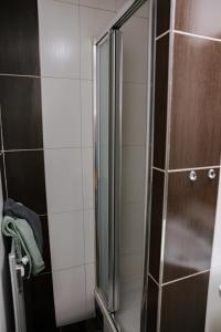 a shower with a glass door in a bathroom at Apartment Gelassenheit Geyersberg - dein exklusiver Ort zum Ankommen & Genießen in Freyung