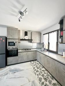 una grande cucina con elettrodomestici in acciaio inossidabile e un tappeto di LA Conciergerie 05 Villa Kylsha Rosans WiFi Terrasse Confort a Rosans