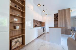 Kuchyň nebo kuchyňský kout v ubytování BLACK MOON Apartments