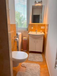 a bathroom with a sink and a toilet and a mirror at Cozy apartment - Excellent location in Piešťany
