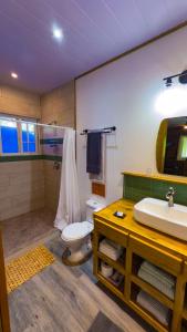 a bathroom with a toilet and a sink at Toucan Hill Lodge in Bocas Town +47 photos