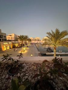 a street with palm trees and a body of water at ElGouna, Elegant 1Bedroom, private patio in Fanadir Marina in Hurghada +12 photos