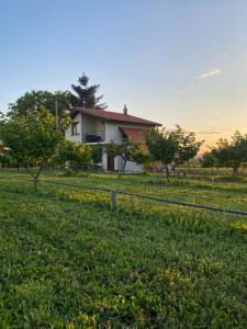 a house in the middle of a field at s t d -PARADISO- in Vranje