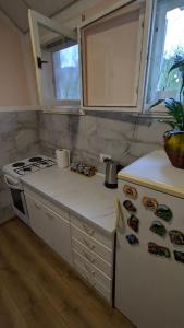 Kuhinja ili čajna kuhinja u objektu Apartman Dunja i Miloš