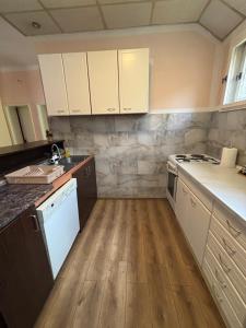 Kuhinja ili čajna kuhinja u objektu Apartman Dunja i Miloš