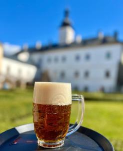 Fotografie z fotogalerie ubytování Hotel Zámek Letohrad v Letohradě
