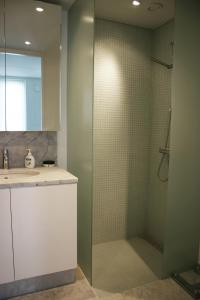 a bathroom with a shower and a sink at Thorshavnsgade Apartment in Copenhagen