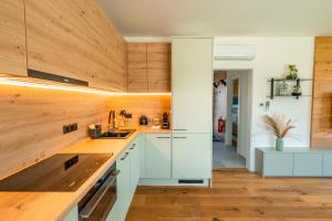 Η κουζίνα ή μικρή κουζίνα στο Apartmán Sova